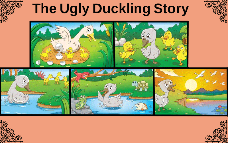 The Ugly Duckling Story
