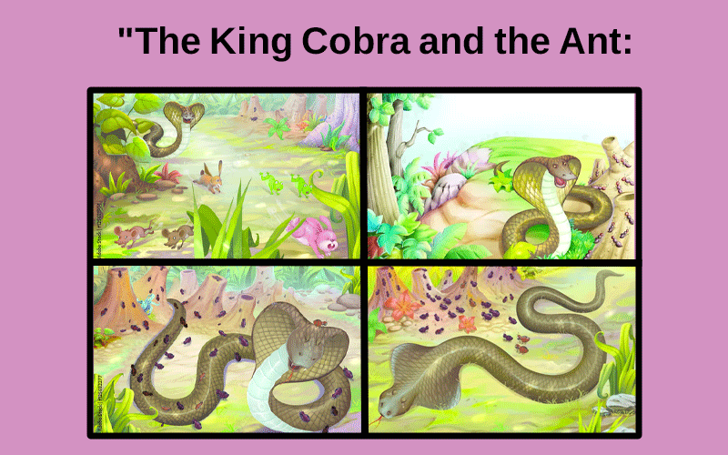 “The King Cobra and the Ant: A Tale of Wisdom and Friendship”