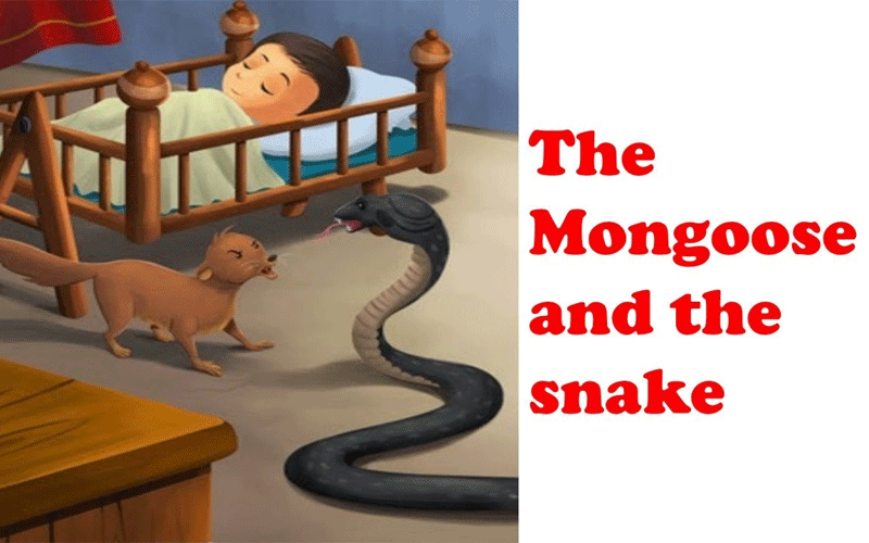 The Loyal Pet: The Story of the Farmer and the Mongoose