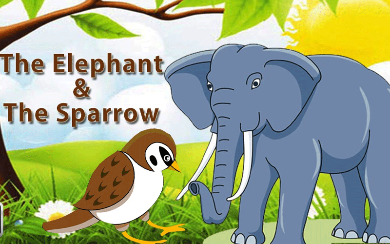 “The Elephant and the Sparrow:”