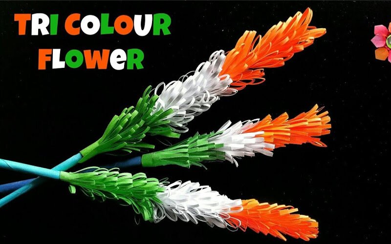 “Harmony in Hues: Crafting a Tricolor Flower Tribute”